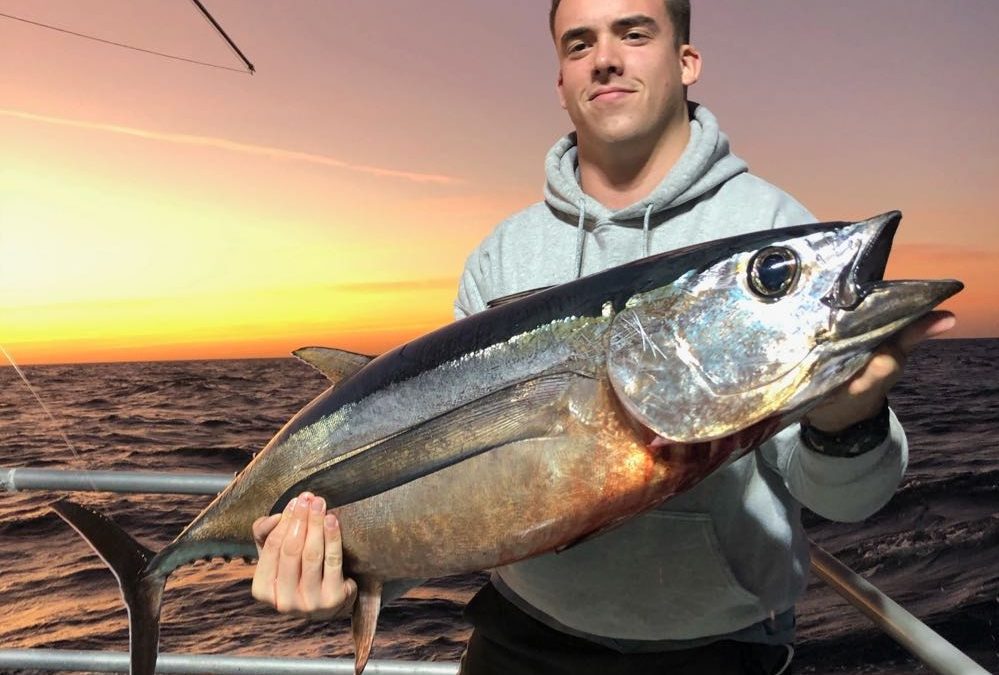 The Season for Deep-Sea Fishing in Dubai Is Out There